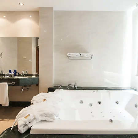 Occidental Hotel Granada