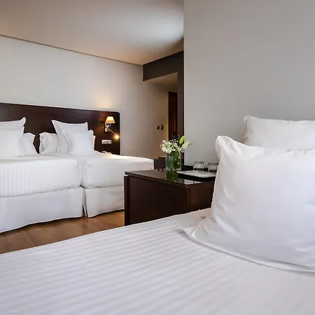 Hotel Occidental Granada