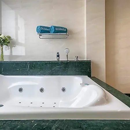 Occidental 4* Granada