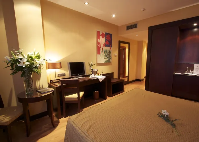 Occidental 4* Granada